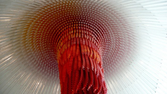 Arch2O-Cause-and-Effect-Do-Ho-Suh-2