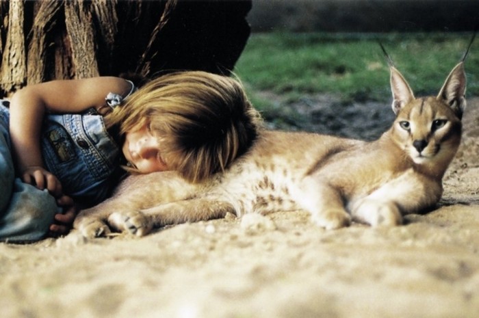 tippi-degre-de-nina-con-un-leo_54393149662_54028874188_960_639