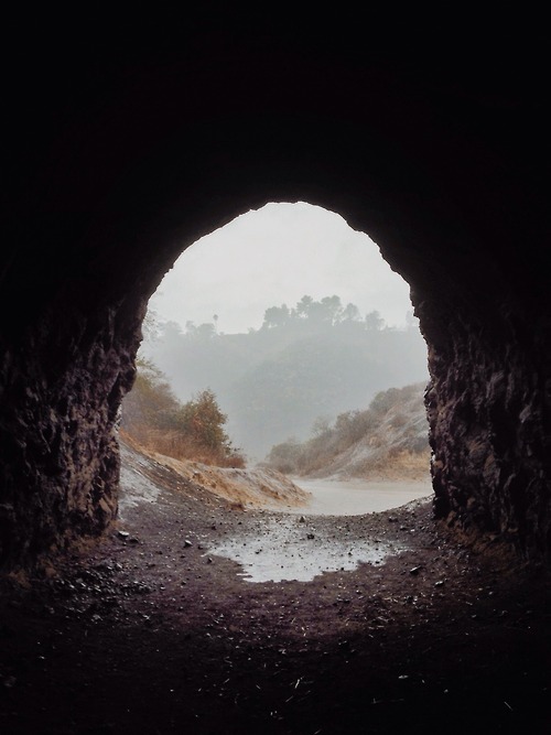 tumblr_mwy6gwQwkw1sktprko1_500