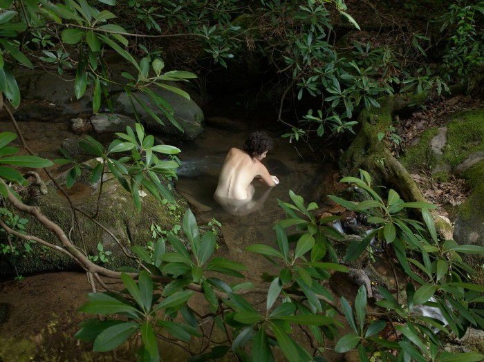 LucasFoglia_NaturalOrder_354
