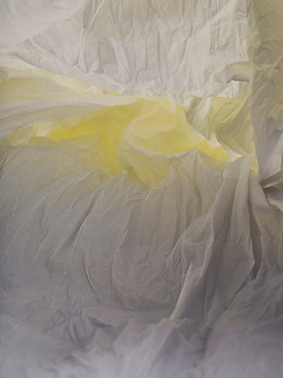 Plastic-bag--22-web_400
