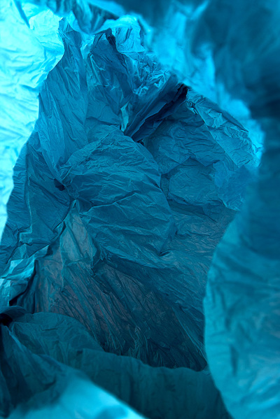 Plastic Bag Landscapes